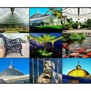 The Kibble Palace Print (Mounted Size 10 inch by 12 inch)