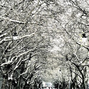 Glasgow Snow Christmas Cards (Set Of Four A6-Sized)