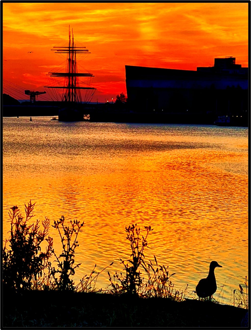 The Clyde At Sunset 1 Greetings Card (A6 Sized)