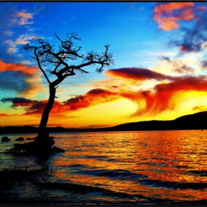 Milarrochy Bay At Sunset (Mounted Size 10 inch by 12 inch)